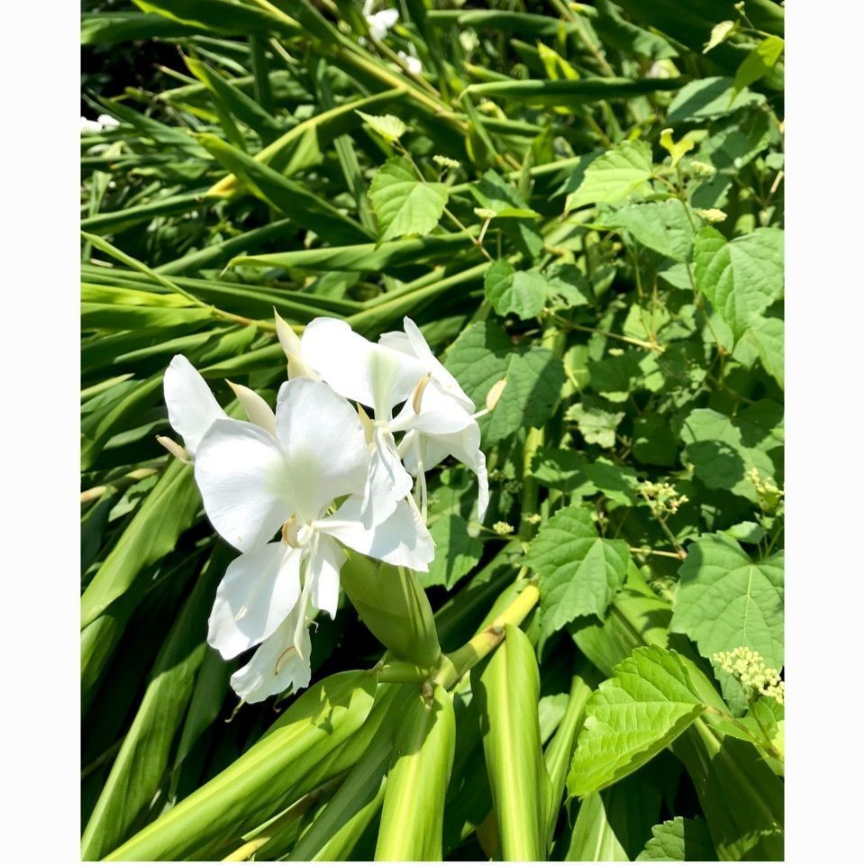 ＫMＴKさんが投稿した新宮市に関する口コミの画像