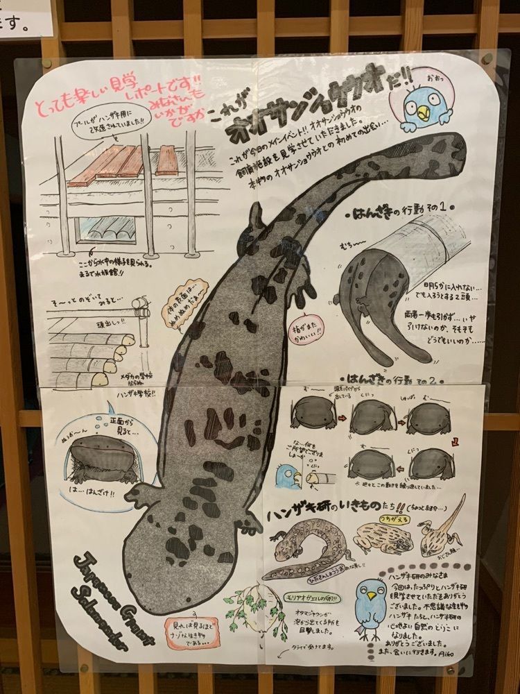 影の戦闘隊さんが投稿した黒川温泉～美人の湯～に関する口コミの画像