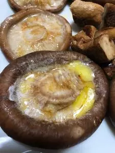 桐生自然観察の森