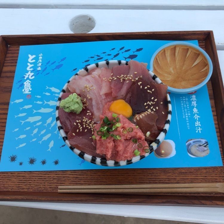 ミアボさんが投稿した早川港に関する口コミの画像