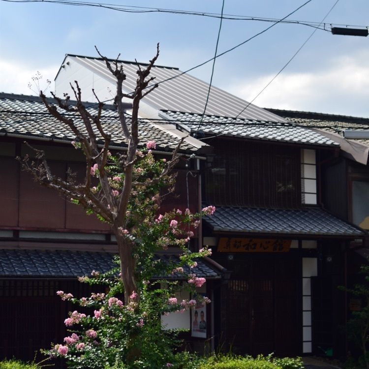 佳さんが投稿した四都物語（ヨントモノガタリ【旧店名】がんばれお好み焼き）に関する口コミの画像