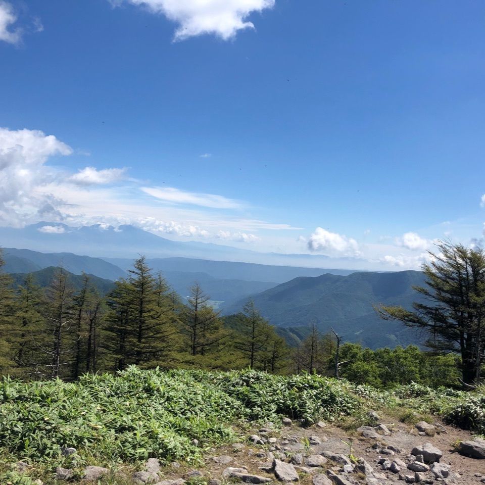 T.Yさんが投稿した霧の駅霧ヶ峰高原ビーナスラインドライブインに関する口コミの画像