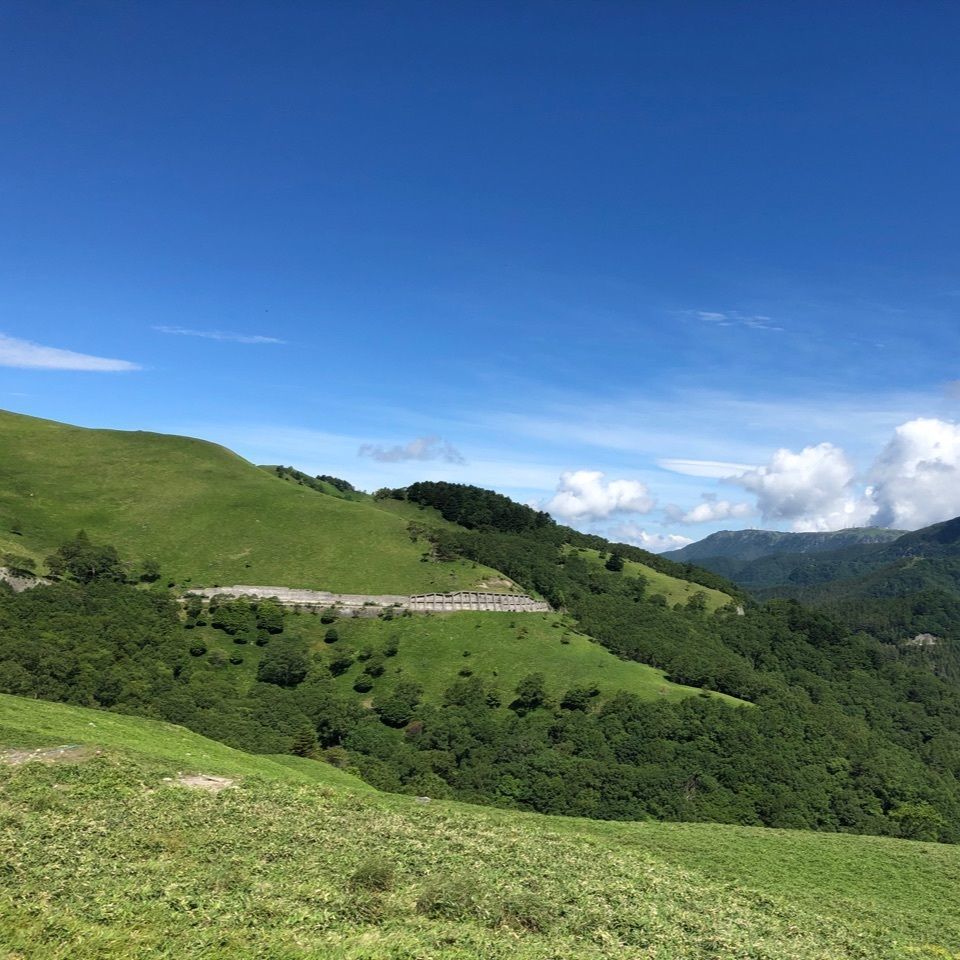 T.Yさんが投稿した霧の駅霧ヶ峰高原ビーナスラインドライブインに関する口コミの画像