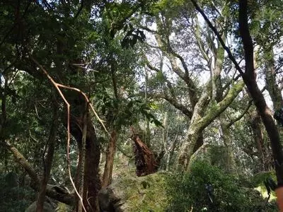粟ケ岳