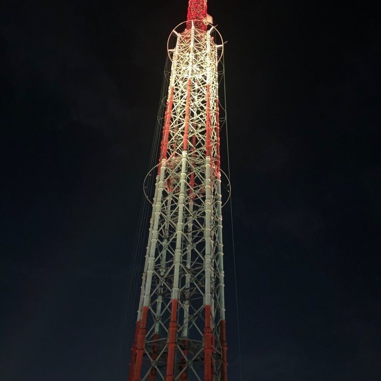 blossom&C7の画像