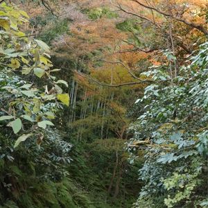 瑞泉寺