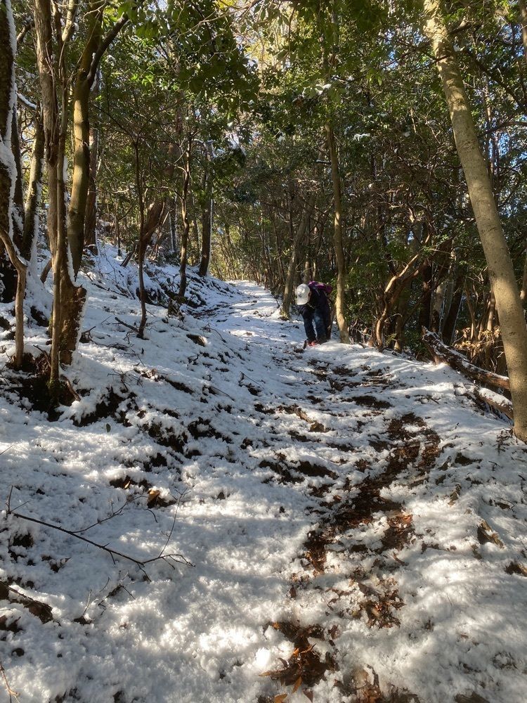 あるふぃすたさんが投稿した広島県緑化センター レストハウスに関する口コミの画像
