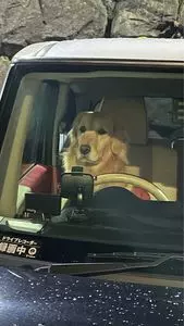 カメリア温泉