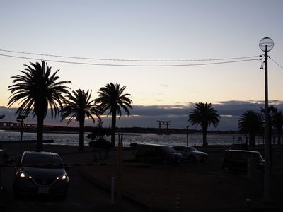 魚あら（うおあら） 3枚目