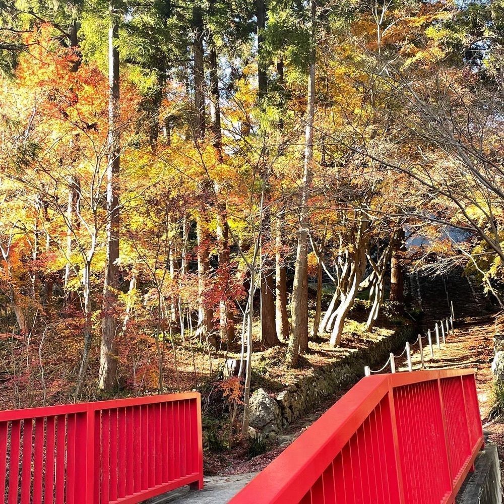 Mr. イリジウム シルバーさんが投稿した豊橋のもみじ寺普門寺に関する口コミの画像