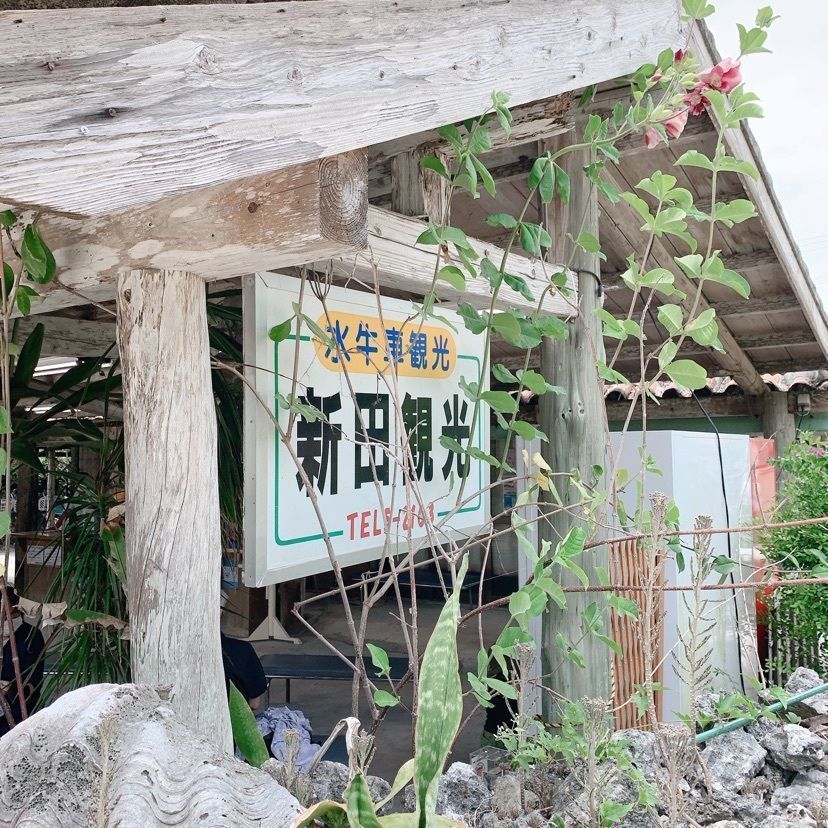 kana_cafe_time さんが投稿した水牛車観光に関する口コミの画像