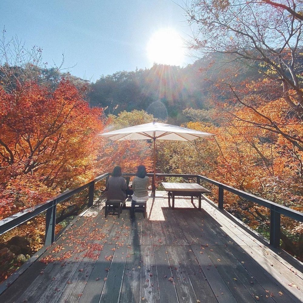 おでかけ探検部さんが投稿した芦屋川 むら玄（むらげん）に関する口コミの画像