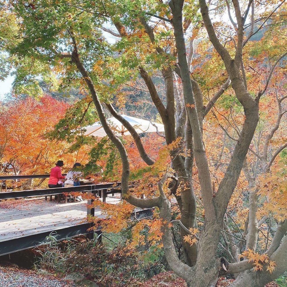 おでかけ探検部さんが投稿した芦屋川 むら玄（むらげん）に関する口コミの画像