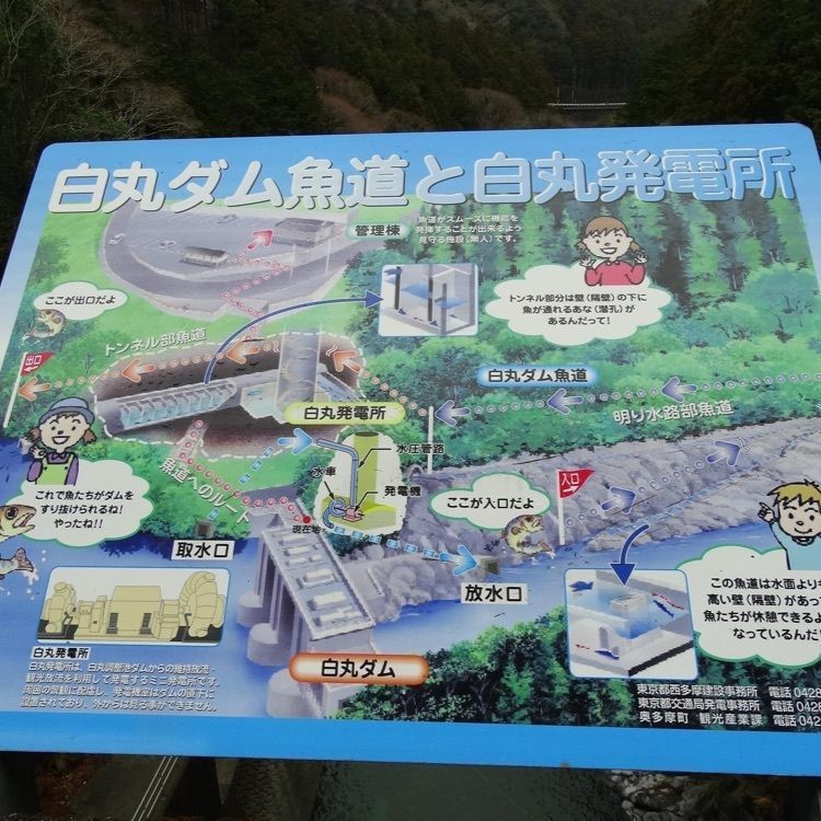 ＤＪゴン太さんが投稿した白丸ダム魚道に関する口コミの画像