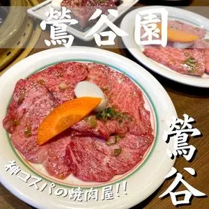 焼肉 鶯谷園（ウグイスダニエン）