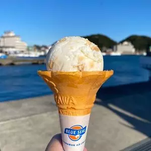 BLUE SEAL 勝浦漁港にぎわい市場店（ブルーシール）