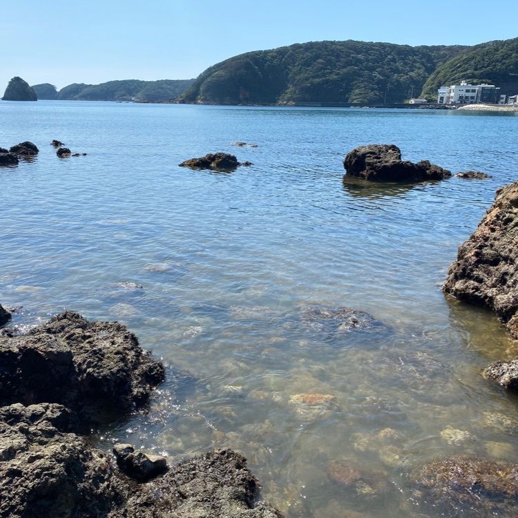 riepyonさんが投稿した外浦海水浴場に関する口コミの画像