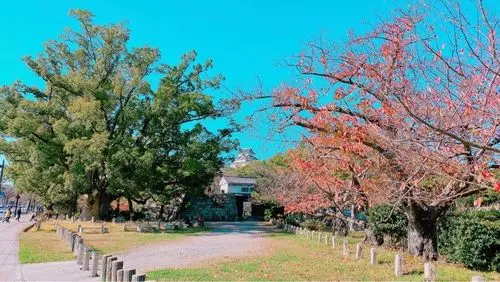和歌山城公園