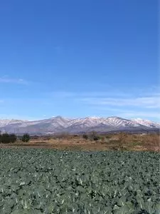 山上城跡