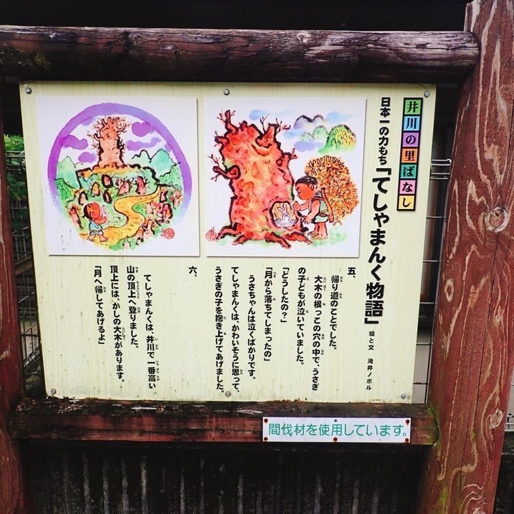 ざんぎの画像