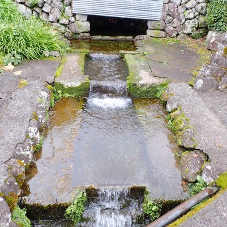 ざんぎさんが投稿した井川湖に関する口コミの画像
