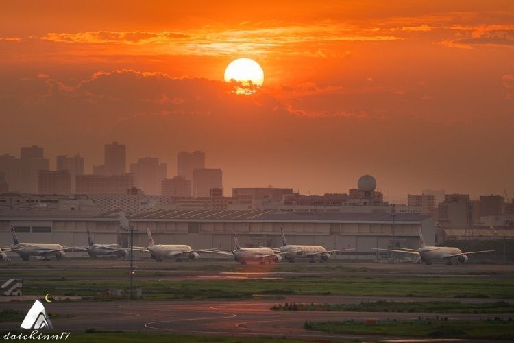 カメラヤンさんが投稿した羽田空港国際線旅客ターミナルに関する口コミの画像