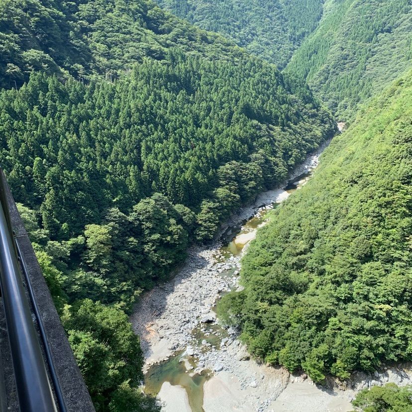 urban_showtime_5a87 達磨大使さんが投稿した祖谷観光旅館（いやかんこうりょかん）に関する口コミの画像