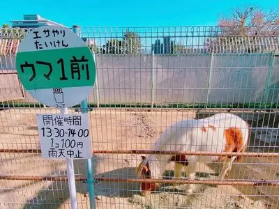 和歌山城公園動物園