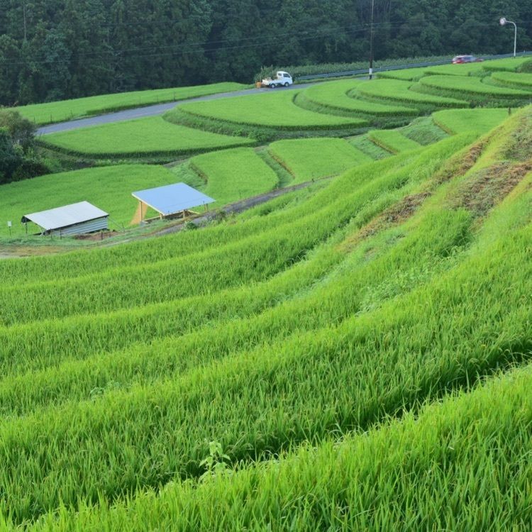 佳さんが投稿した上赤坂城跡に関する口コミの画像