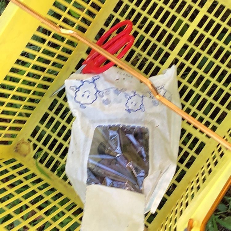 mimiさんが投稿した福田フルーツパークに関する口コミの画像