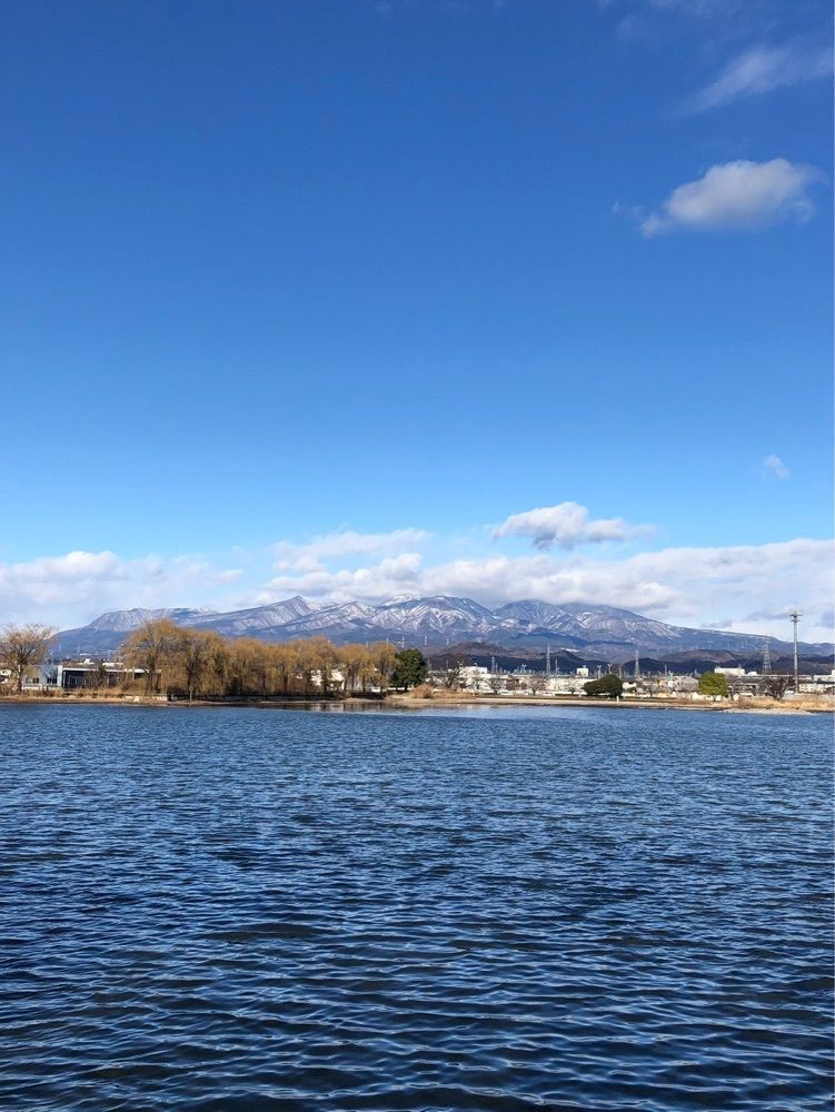 からっ風②さんが投稿したダイニング雷神に関する口コミの画像