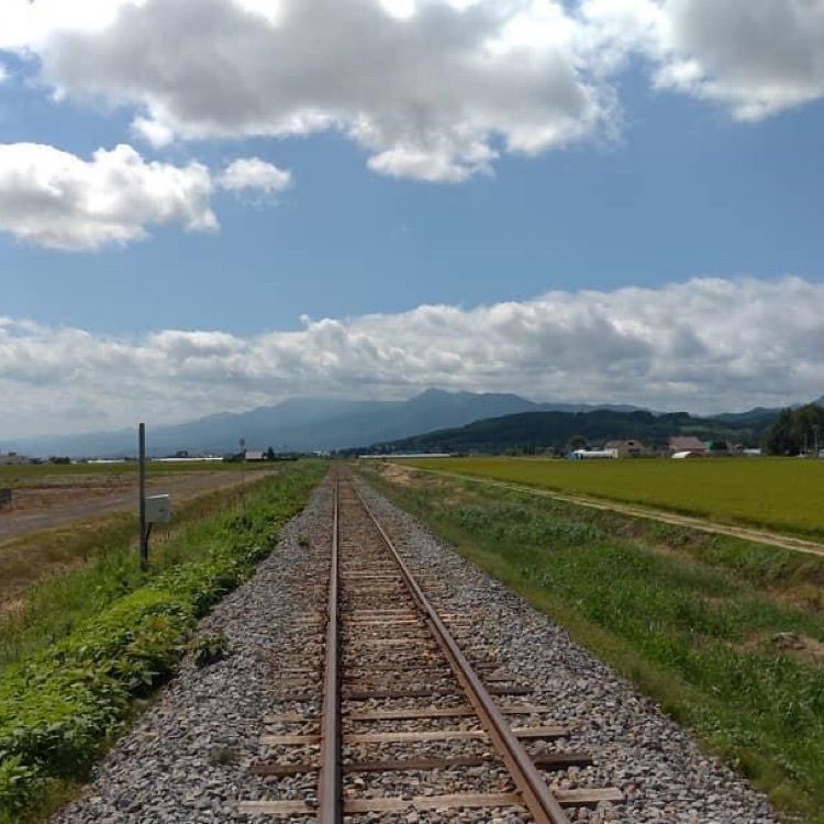 ＤＪゴン太さんが投稿した中富良野町に関する口コミの画像