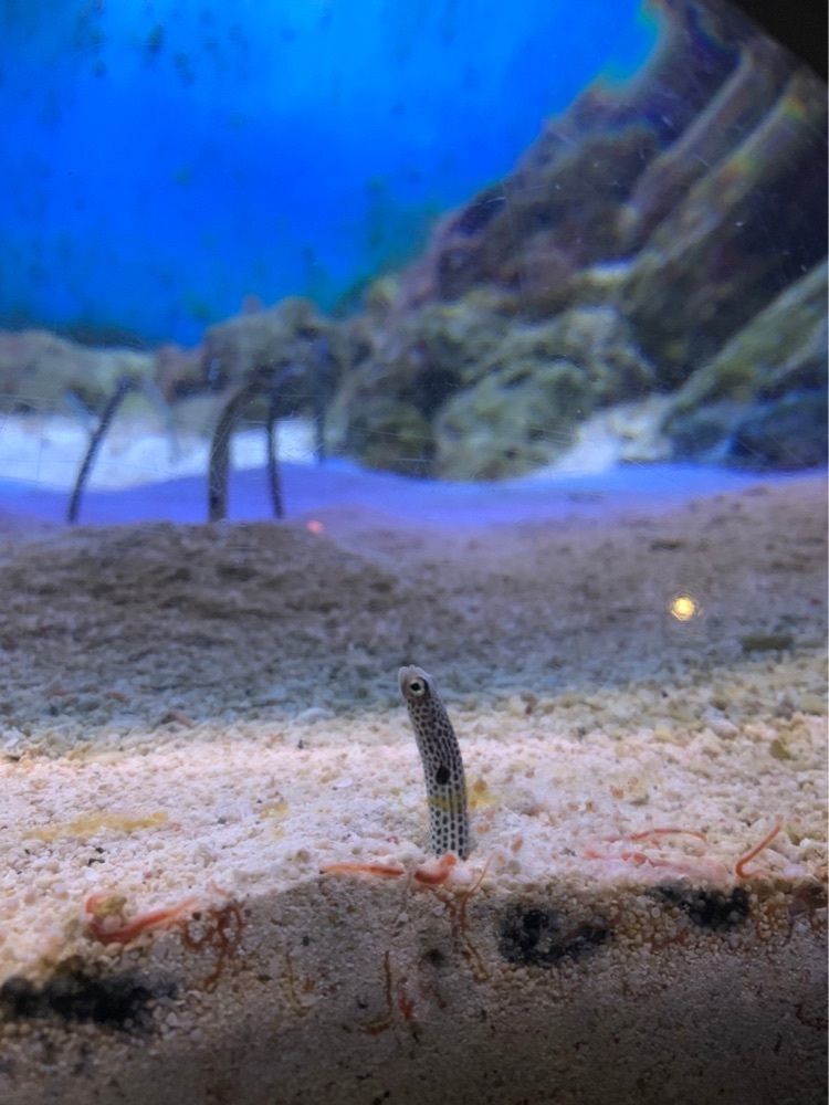 ライさんが投稿した鹿児島市に関する口コミの画像
