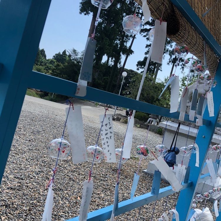 ミルキーさんが投稿した安良川の爺杉に関する口コミの画像