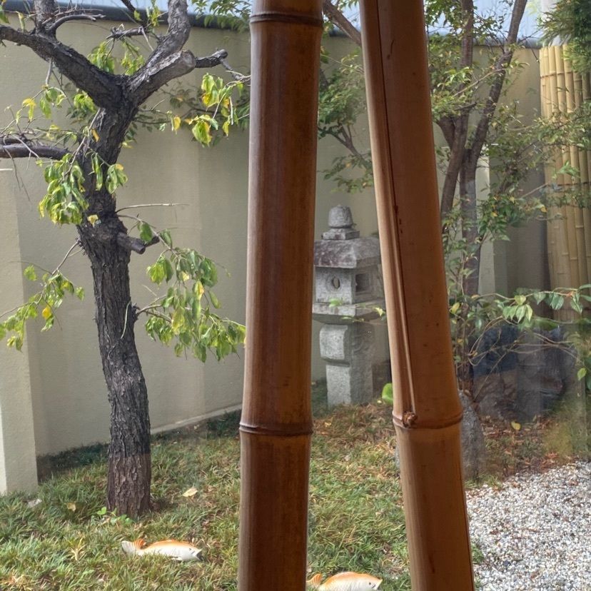 モグモグさんが投稿した松鶴園・茶房茶遊（しょうかくえん さぼうさゆう）に関する口コミの画像