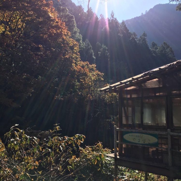 ＤＪゴン太さんが投稿した氷川渓谷に関する口コミの画像