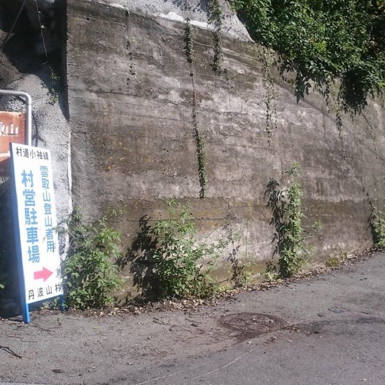 ＤＪゴン太さんが投稿した氷川渓谷に関する口コミの画像