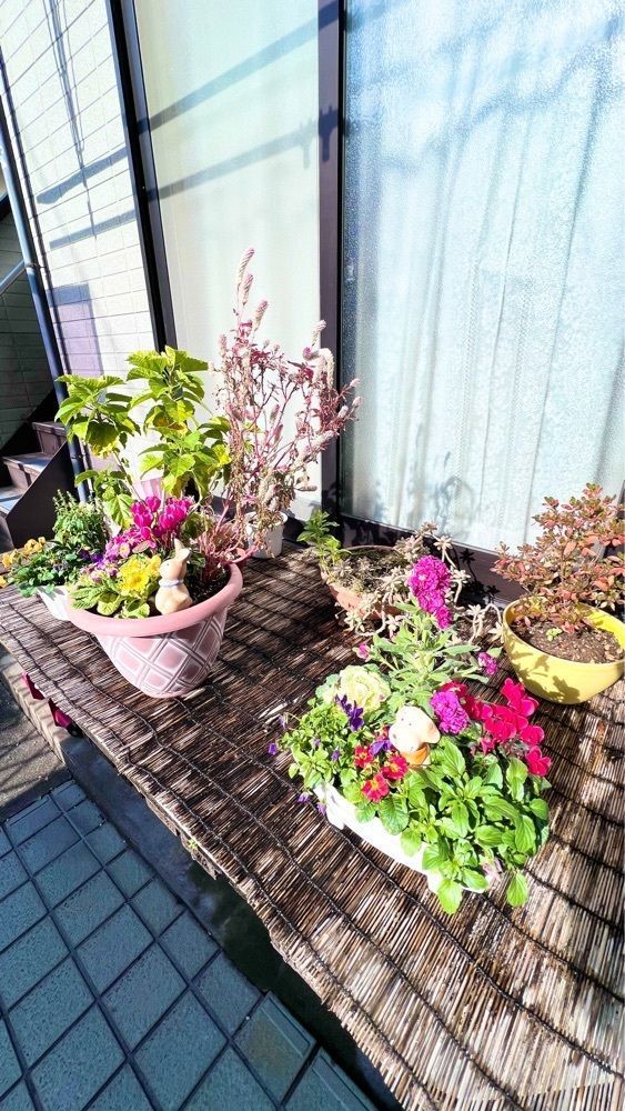 miiさんが投稿したさいたま市市民の森に関する口コミの画像