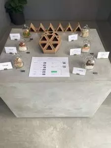 マルサンカクシカク（○△□）