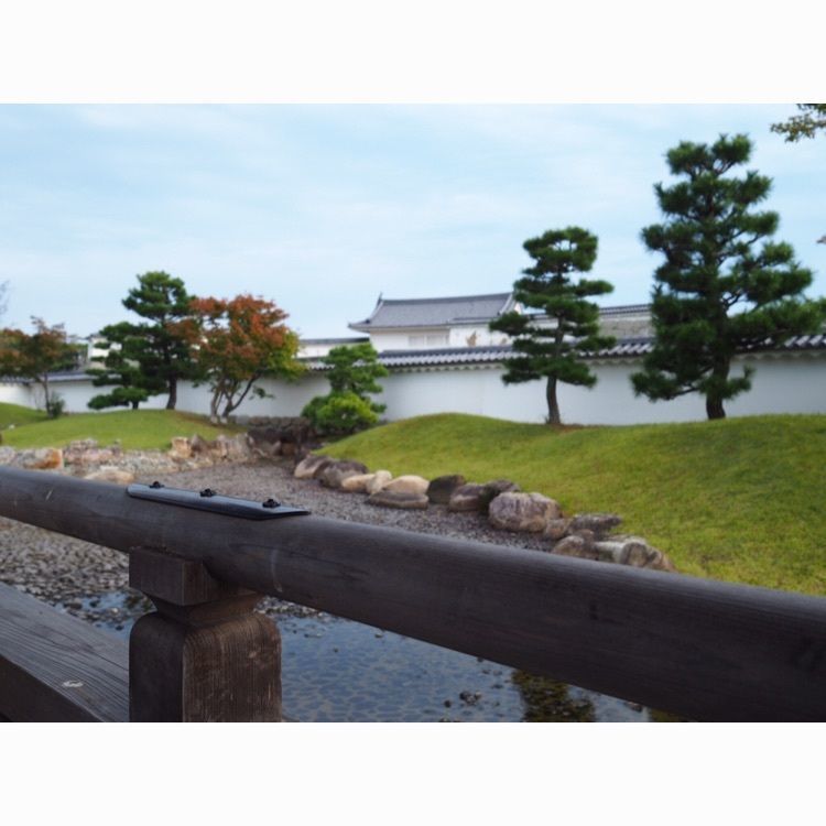 kussu528の画像
