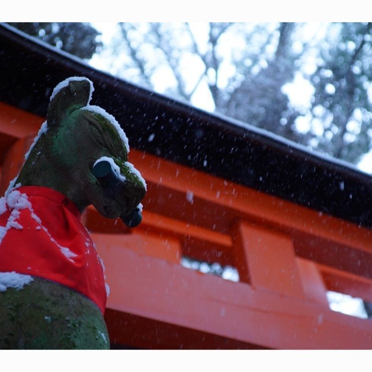 Tettsuの画像