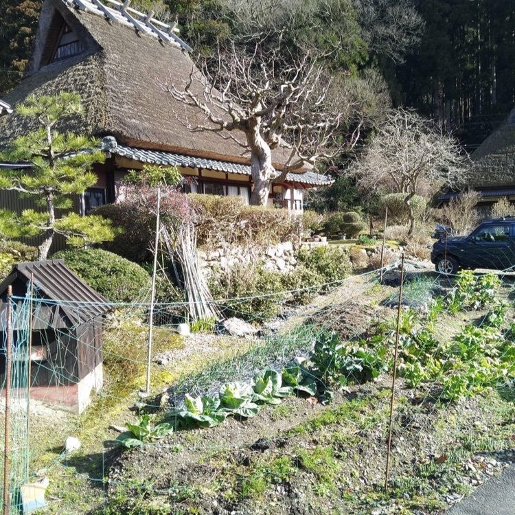 ＤＪゴン太さんが投稿した南丹市に関する口コミの画像