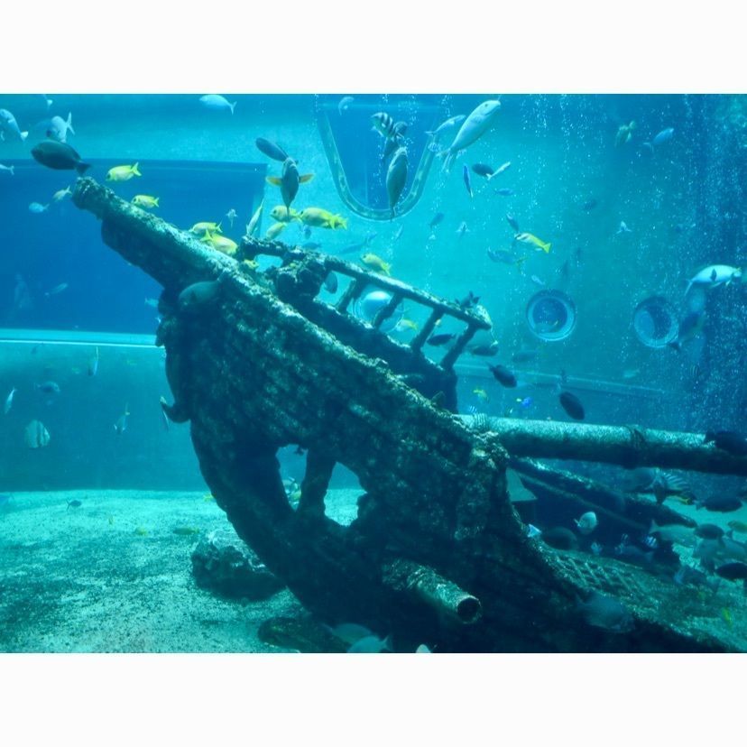 Nさんが投稿した箱根園水族館に関する口コミの画像