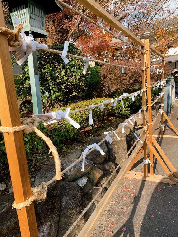 み〜のさんが投稿した興正寺に関する口コミの画像