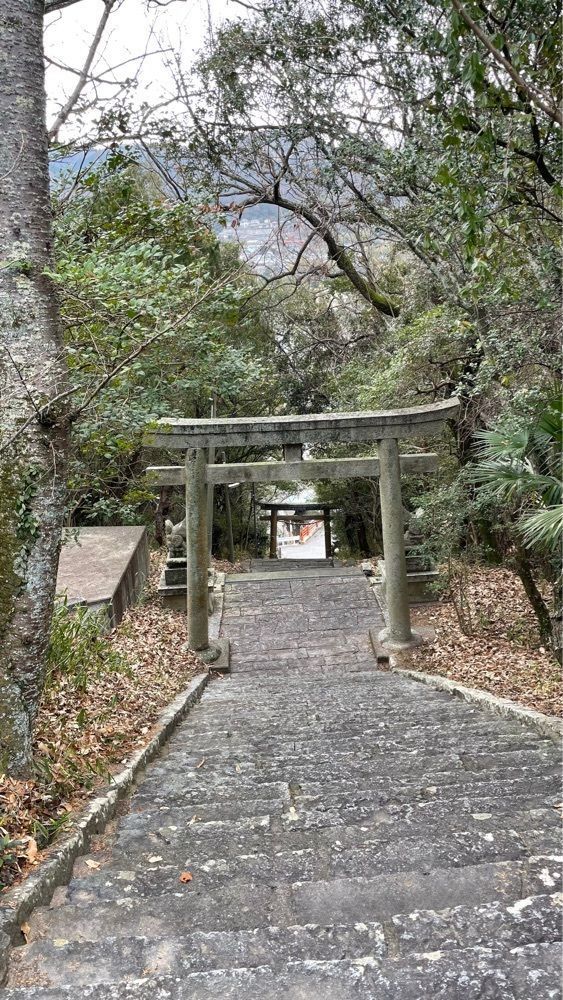 みぃさんが投稿した桜八幡神社に関する口コミの画像