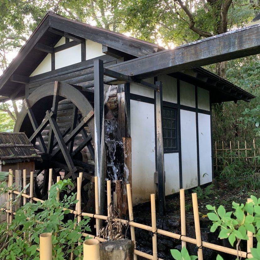 tom_takedaさんが投稿した寺家ふるさと村に関する口コミの画像