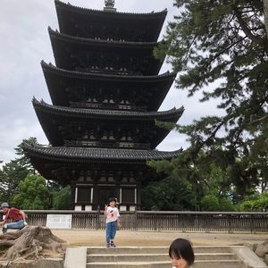 奈良・猿沢池前　旅館 江泉