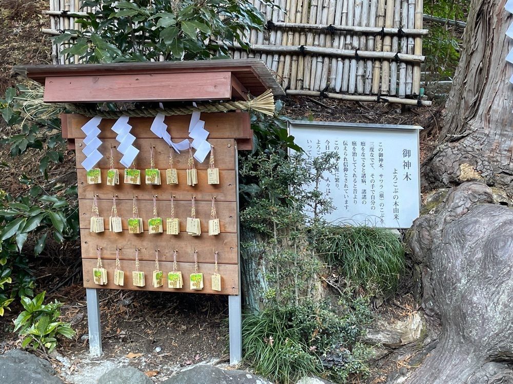 ぱっつんさんが投稿した神場山神社に関する口コミの画像