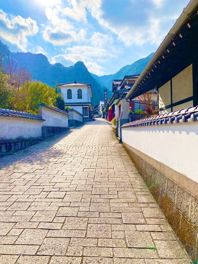 かめ_メグミさんが投稿した陶咲花に関する口コミの画像