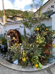 鍋島藩窯橋 3枚目